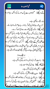 Shama Shabistane Raza AmalRaza