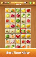 Tile Puzzle - Match Animal